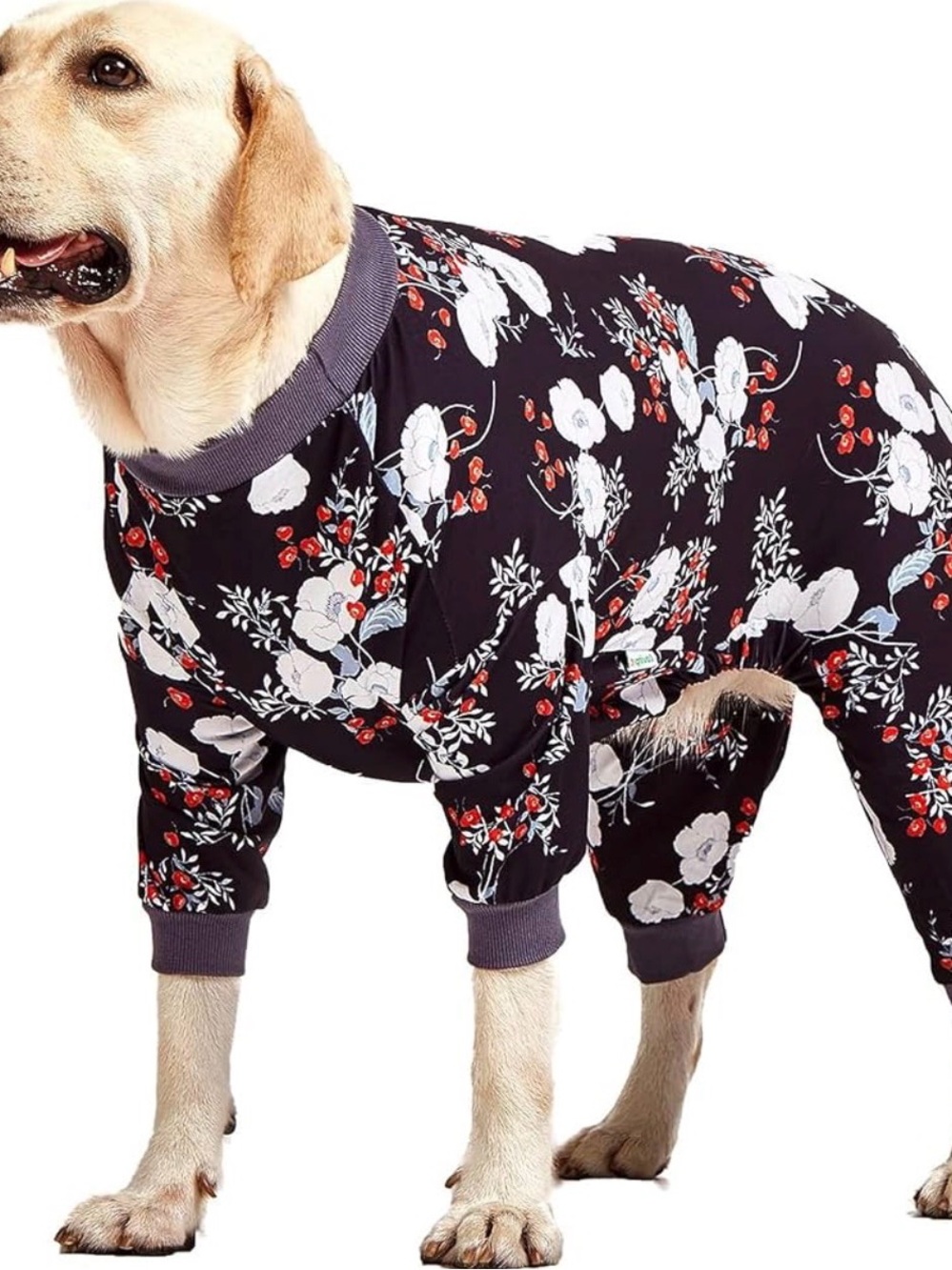 Dog Pajamas Floral Print Full Body Sleepwear Large Size